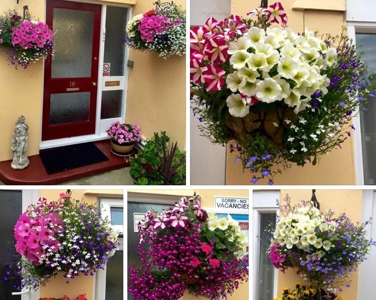 Bed and breakfast Crowndale Torquay - Exclusively For Adults Extérieur photo