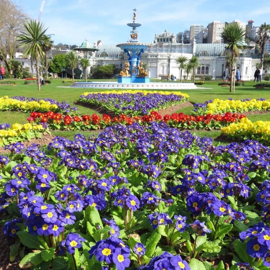 Bed and breakfast Crowndale Torquay - Exclusively For Adults Extérieur photo